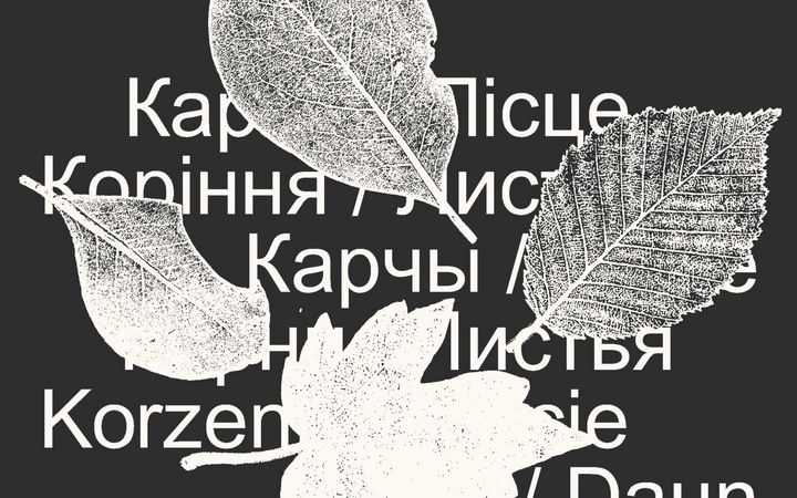 Лісты ад лісця. Вольга Касцюк пра складанку дэкаланіяльнага беларускага пісьма “Карані / Лісце”