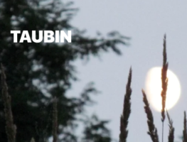 Антон Камароўскі: Інтэрнет-часопіс „Taubin” – пляцоўка для паэзіі   