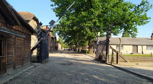 Музей «Аўшвіц-Біркенаў» – міжнародны сімвал Халакоста