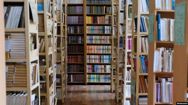 Партызанскія бібліятэкі. Як беларусы прыхоўваюць і чытаюць забароненую літаратуру