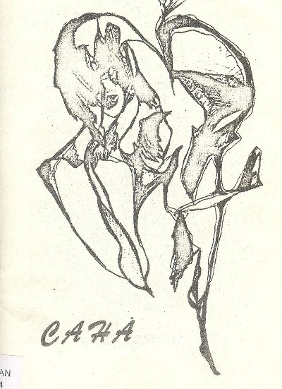Сана