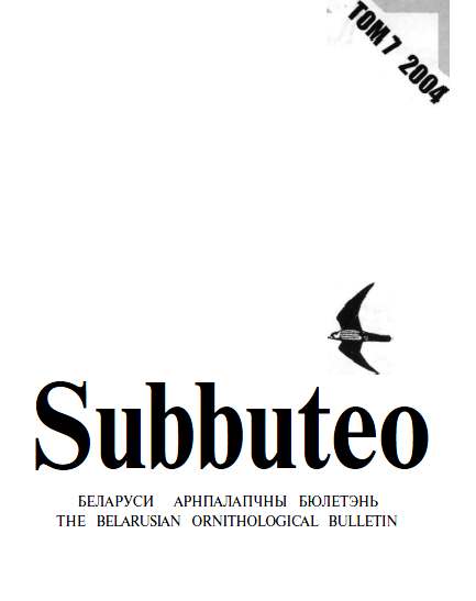 Subbuteo 7