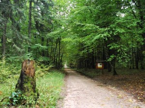Пад знакам Пагоні 24.01.2016