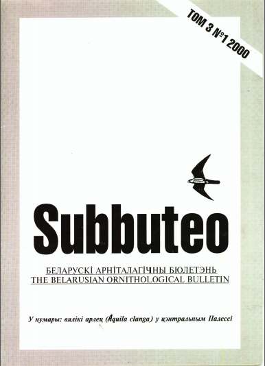 Subbuteo 3