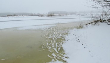 Пад знакам Пагоні 31.05.2017