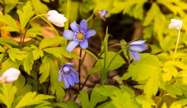 Пад знакам Пагоні 30.04.2019