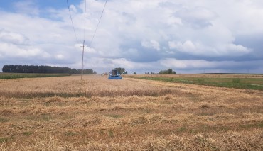 Пад знакам Пагоні 12.07.2019