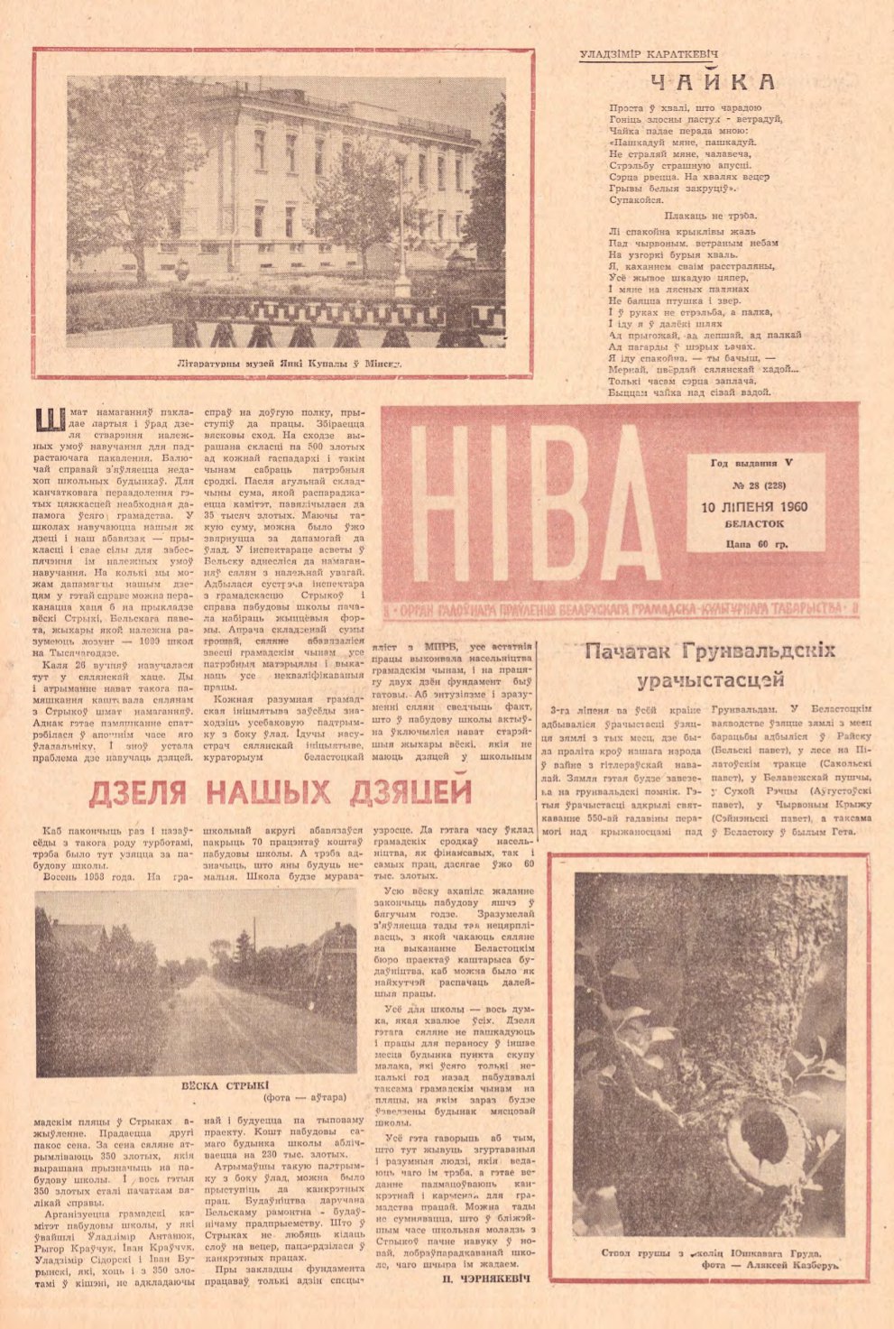 Ніва 28 (228) 1960