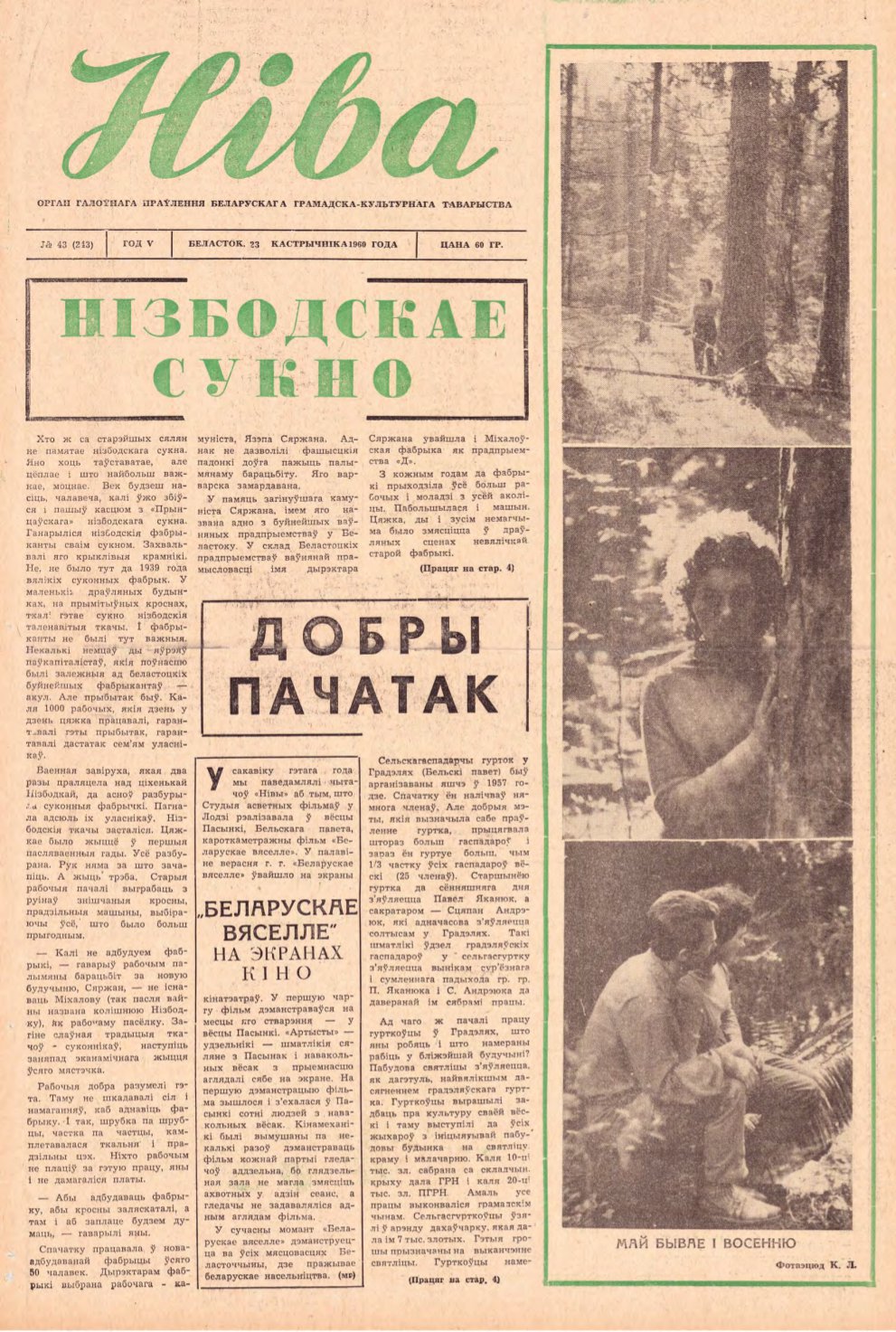 Ніва 43 (243) 1960