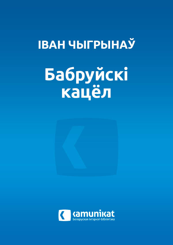Бабруйскі кацёл