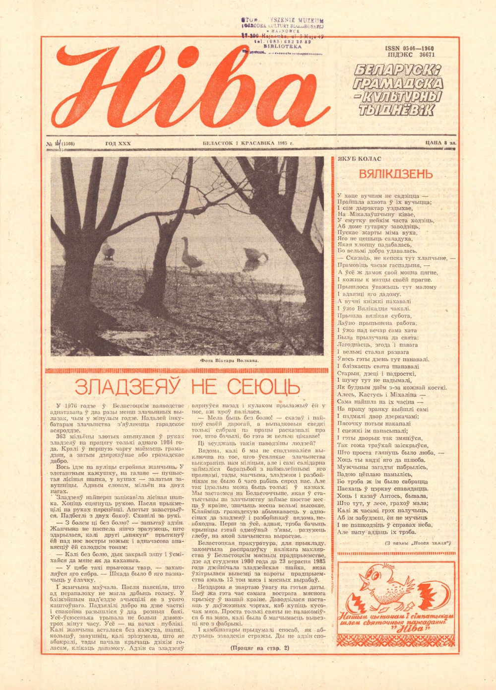 Ніва 14 (1508) 1985