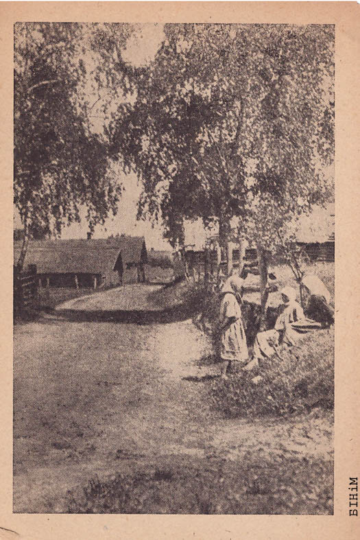 Паштоўка "На вёсцы"