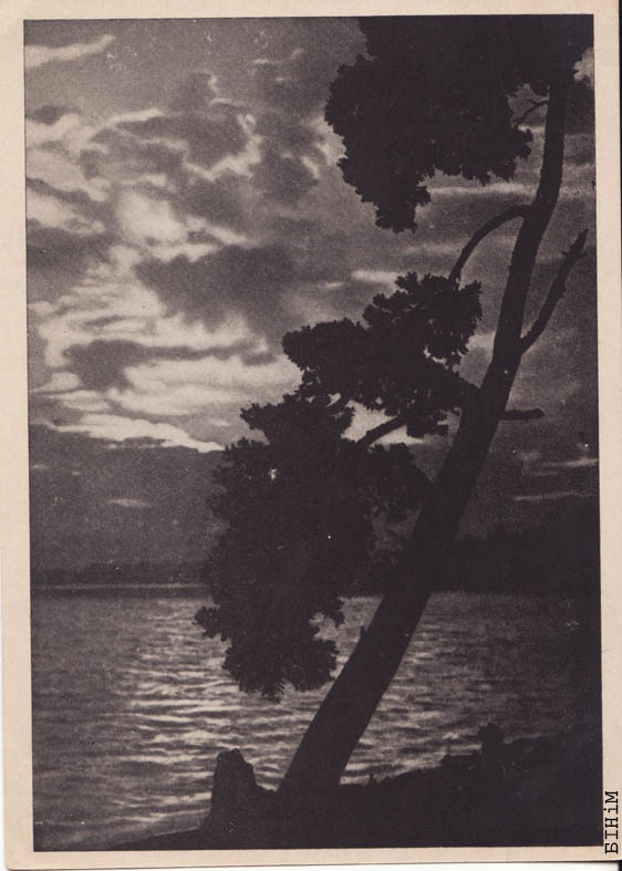 Паштоўка "Возера Сьвіцязь"