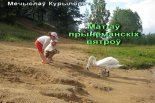 Матыў прынёманскіх вятроў