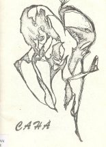 Сана