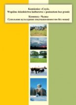 Камянец-Чыжы