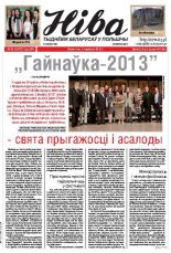 Ніва 22 (2977) 2013