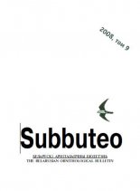 Subbuteo 9