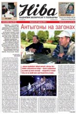 Ніва 38 (2993) 2013