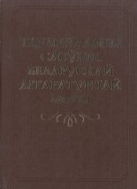 Тлумачальны слоўнік беларускай літаратурнай мовы