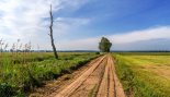 Пад знакам Пагоні 30.04.2021