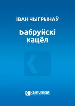 Бабруйскі кацёл