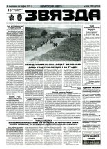 Звязда 248 (23051) 1996