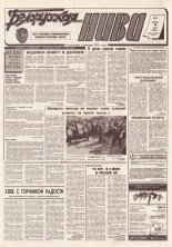 Белорусская нива 87 (15371) 1994