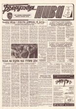 Белорусская нива 99 (15383) 1994